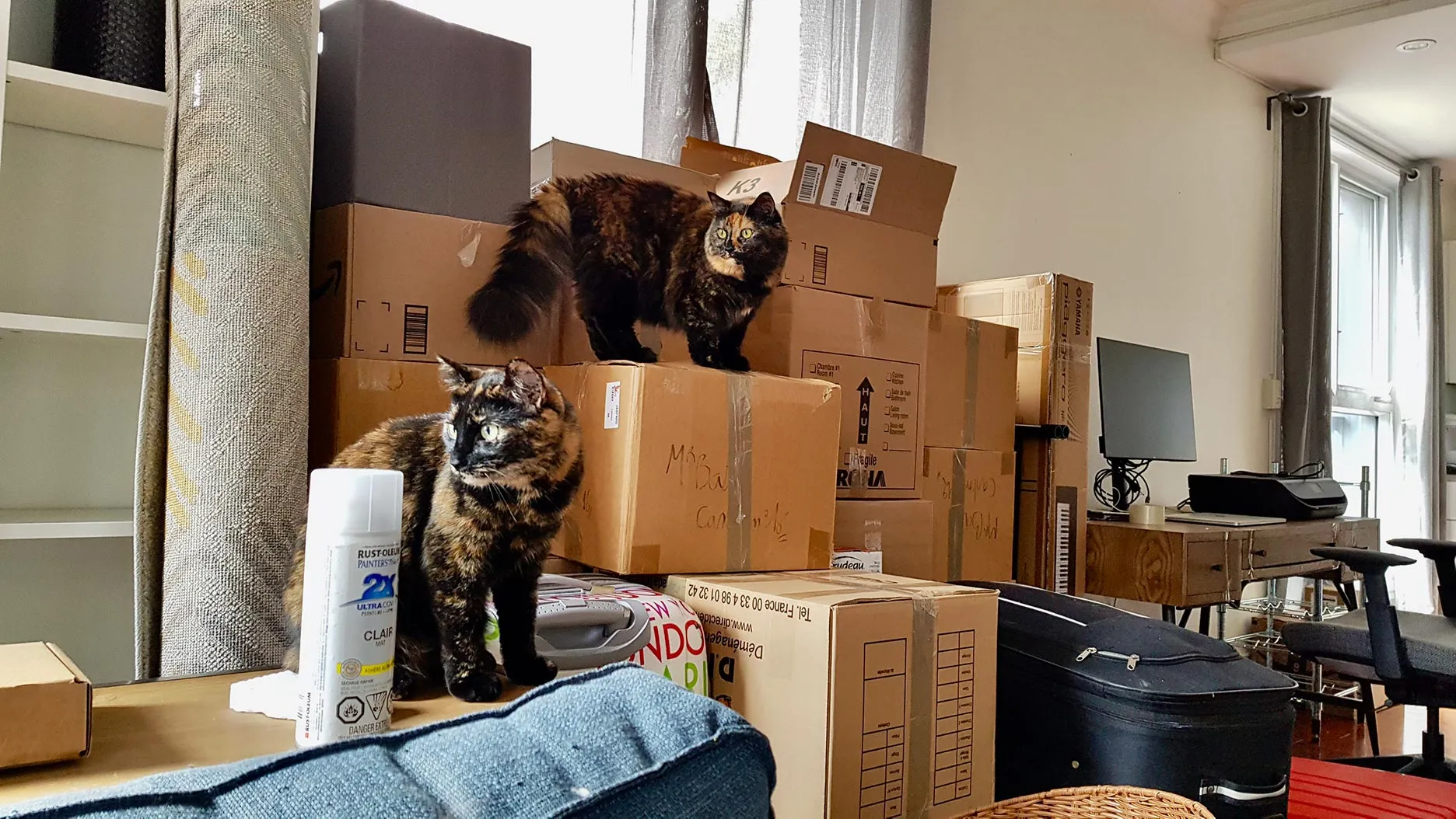 Acheter un appartement à Montréal : le guide complet (partie 1)