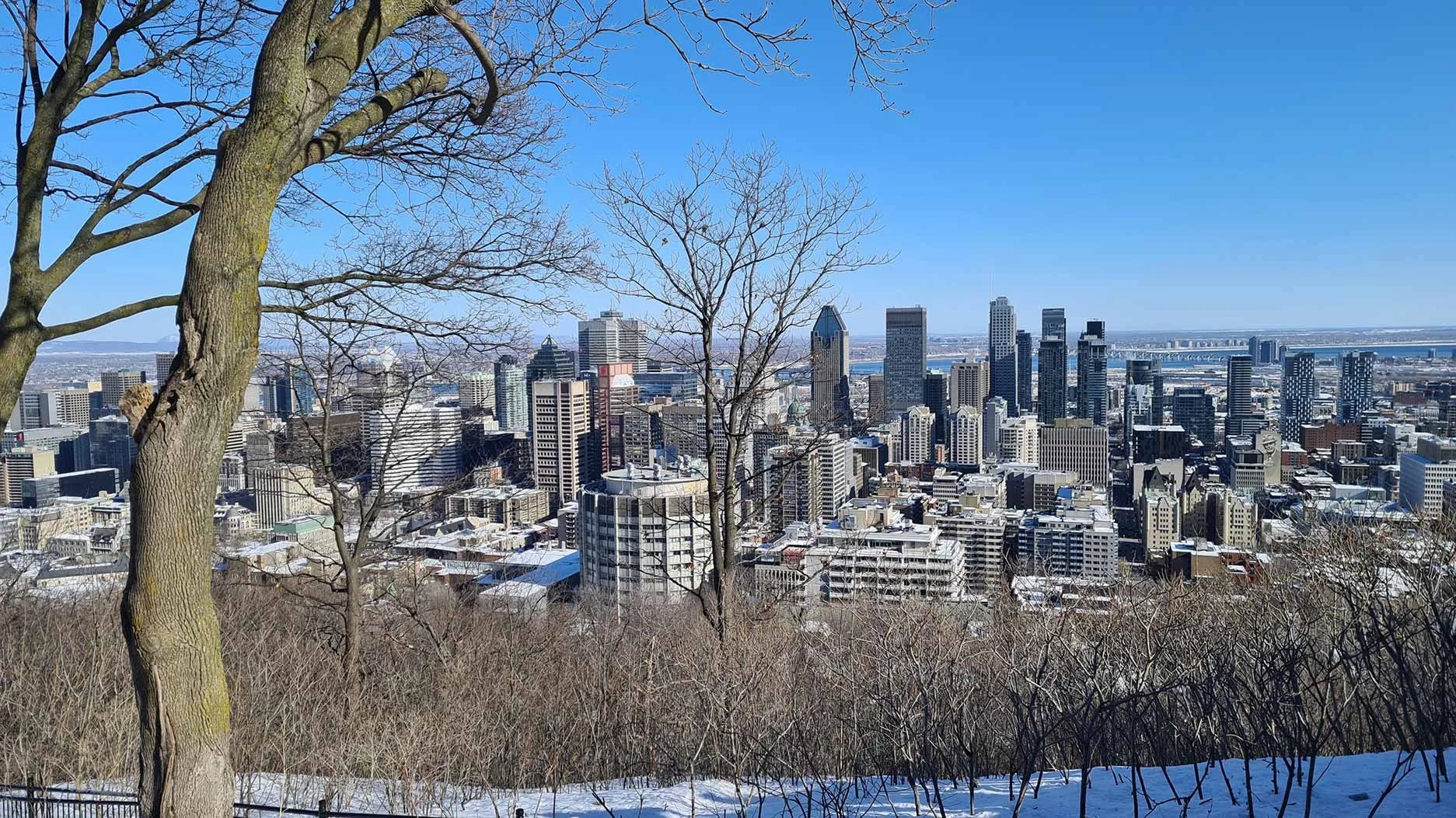 Découvrir le Belvédère du Mont Royal au fil des saisons