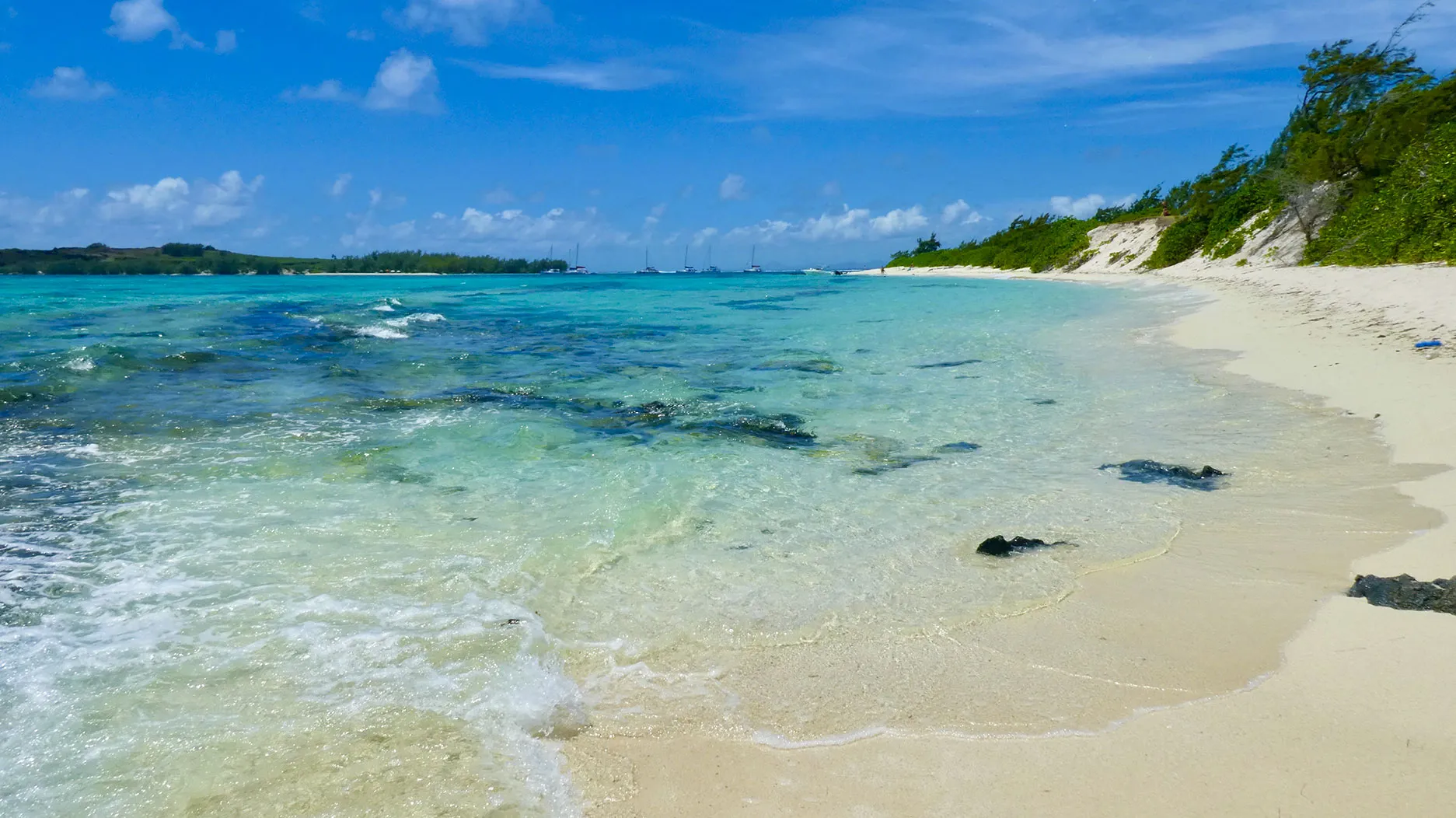 L’Ile Plate à Maurice : découvrir un coin de paradis